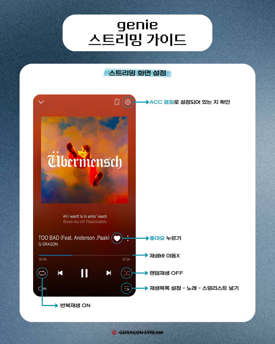 지니 스밍가이드 2